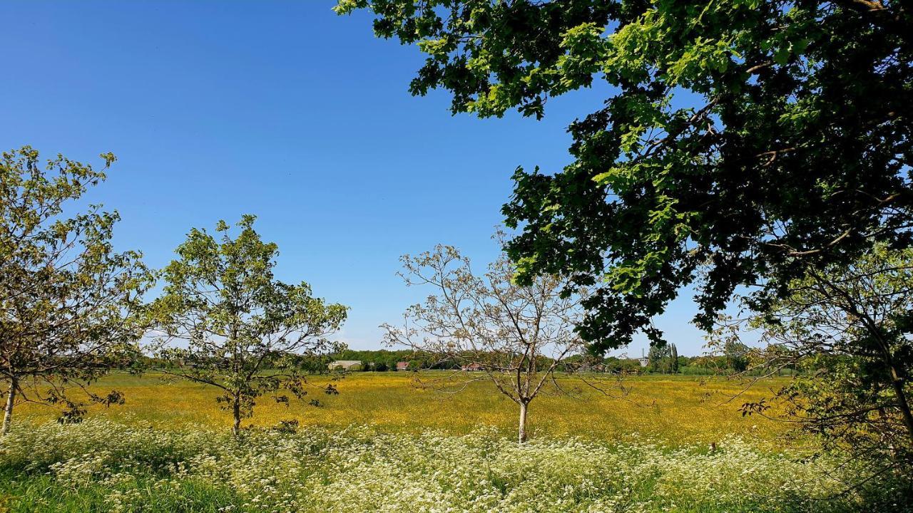 B&B De Scherpenhof Leur 外观 照片