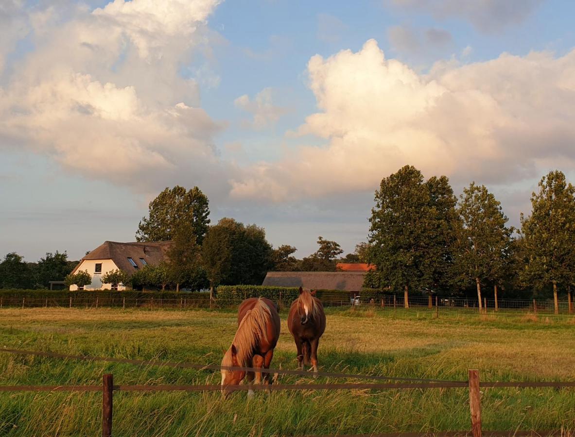 B&B De Scherpenhof Leur 外观 照片