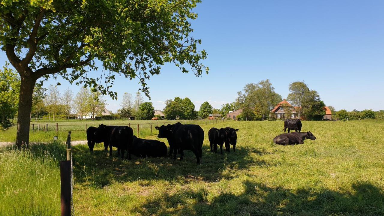B&B De Scherpenhof Leur 外观 照片